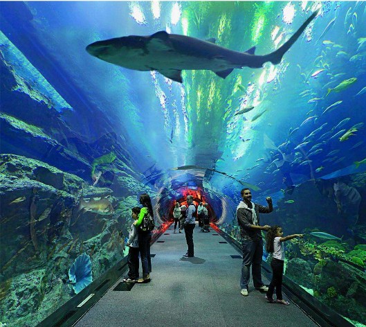 <b>海洋馆水质若何处置？水处置系统是关键！</b>