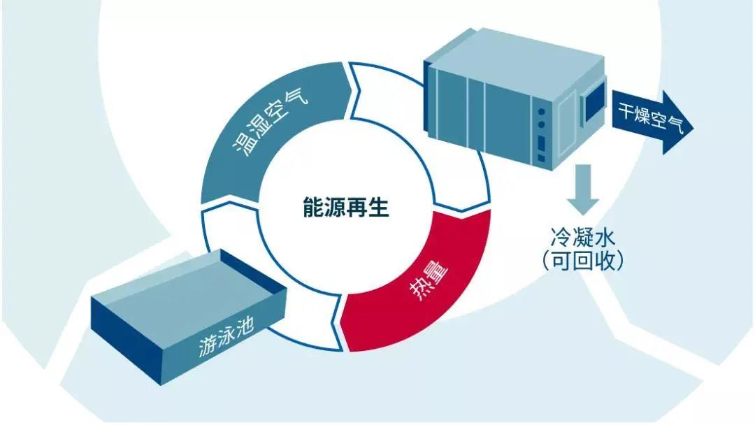 低氯游泳馆,无氯游泳池,低屡拙池，低氯系统