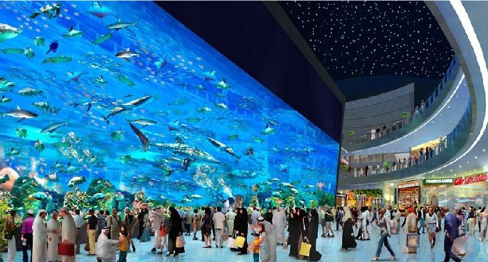 海洋馆设计，海洋馆设计重点，海洋馆设计公司