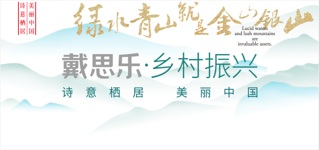 村落振兴,村落振兴战术